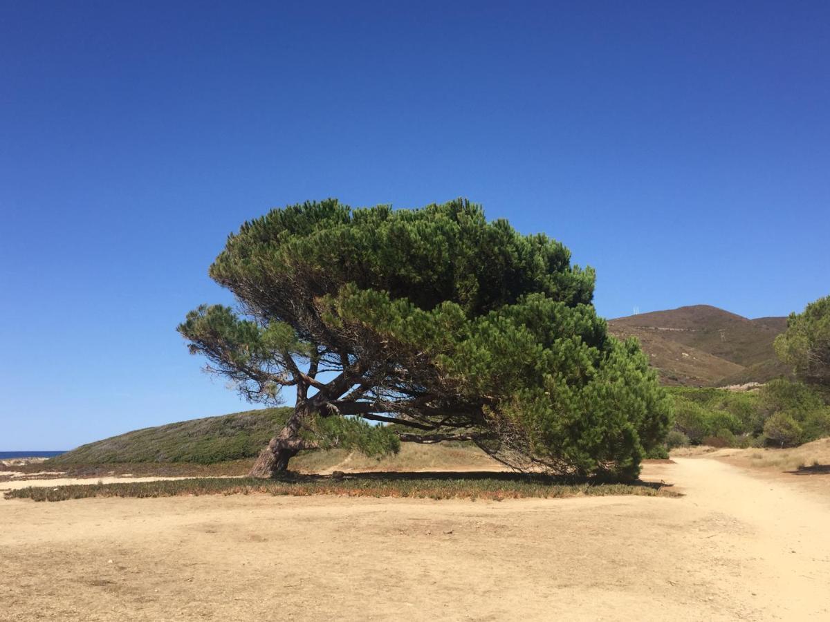 Palasca  Villa Grand Confort A 500M De La Plage De Lozari المظهر الخارجي الصورة